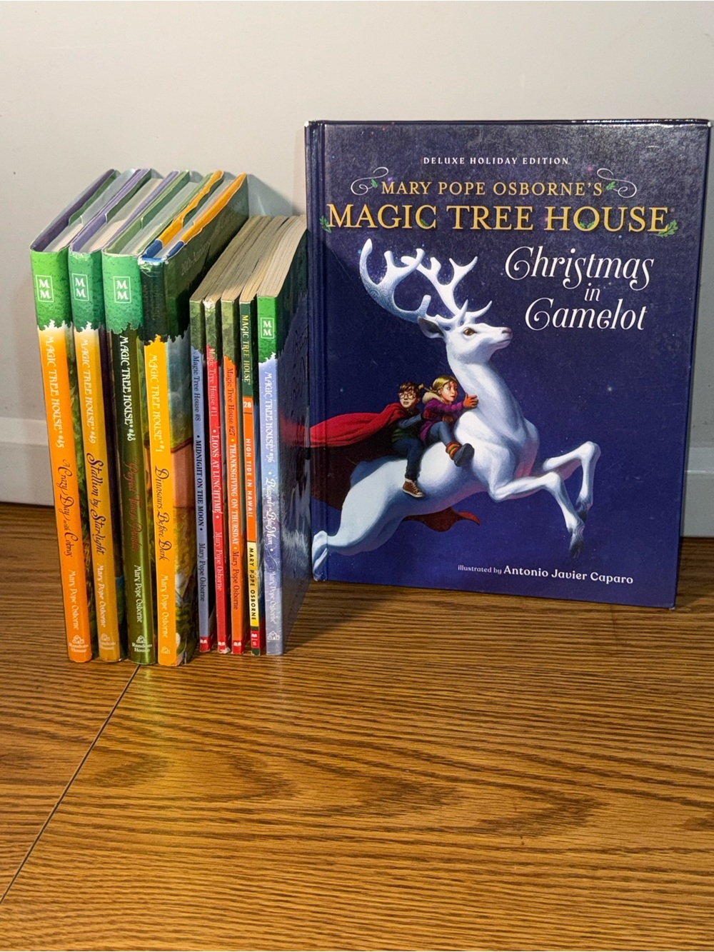 The Magic Tree House series book lot